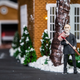Misunderstood neighbor alert